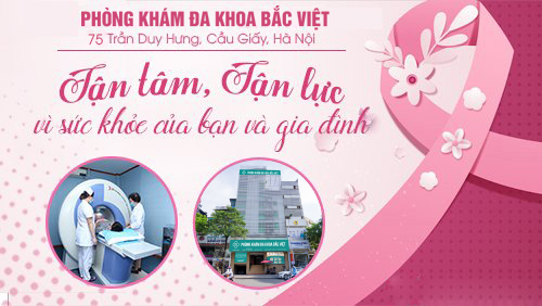 Phòng khám phụ khoa Bắc Việt - địa chỉ phá thai an toàn